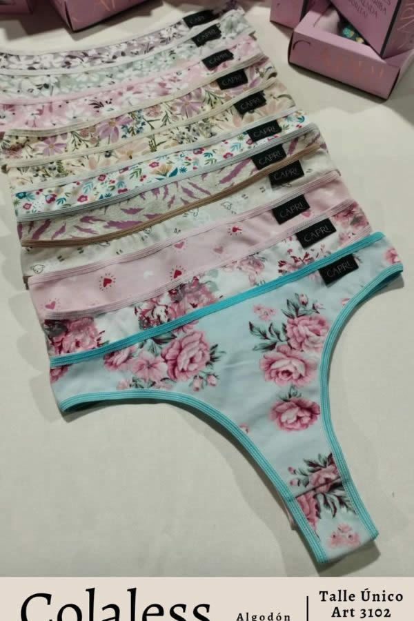 COLALESS ALG LYCRA ESTAMP CAPRI